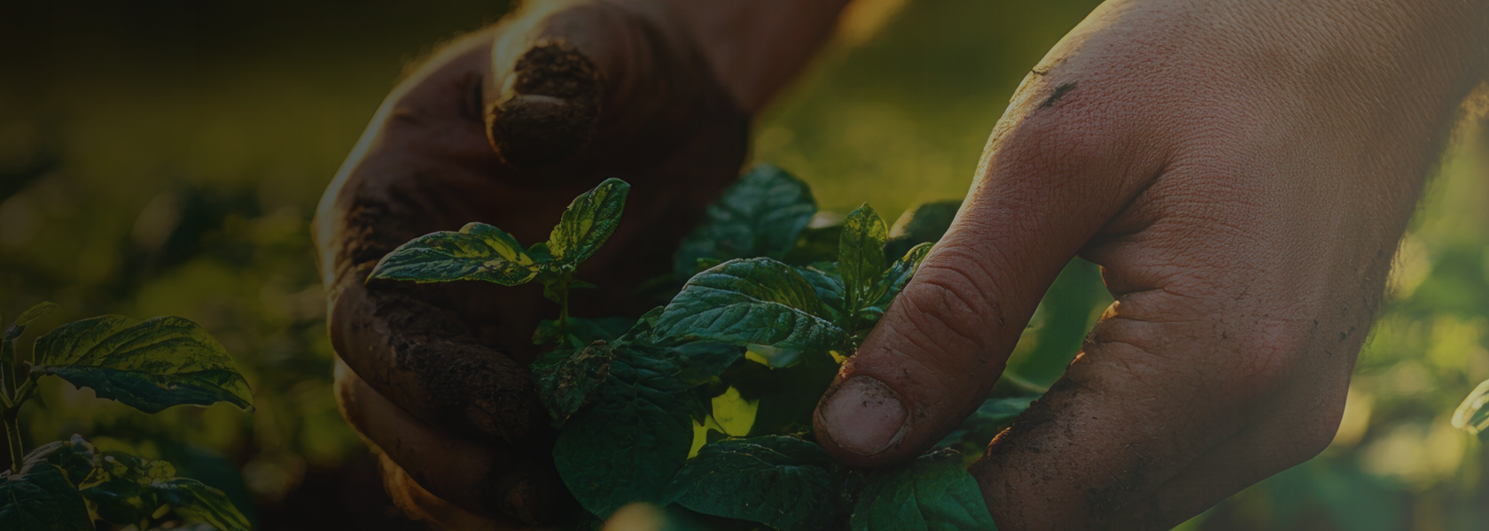 Welkom op onze website